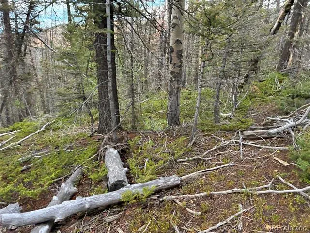 LOT 5563 Balleroy Road San Luis, CO 81152