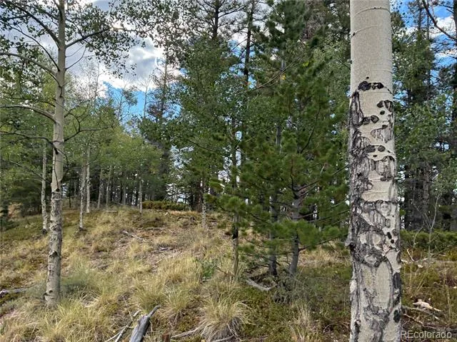 LOT 5563 Balleroy Road San Luis, CO 81152