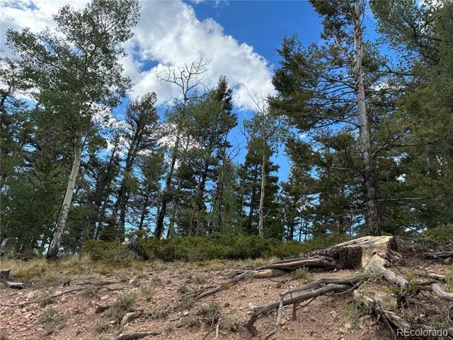 LOT 5563 Balleroy Road San Luis, CO 81152
