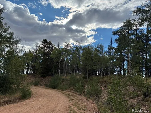 LOT 5563 Balleroy Road San Luis, CO 81152