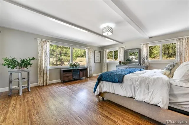 435 Wolverine Way Monument, CO 80132