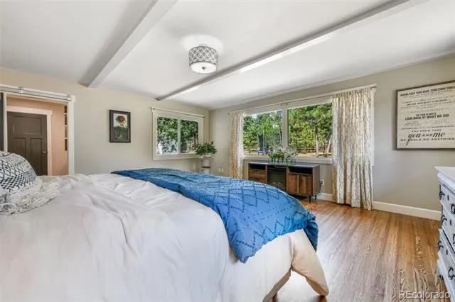 435 Wolverine Way Monument, CO 80132