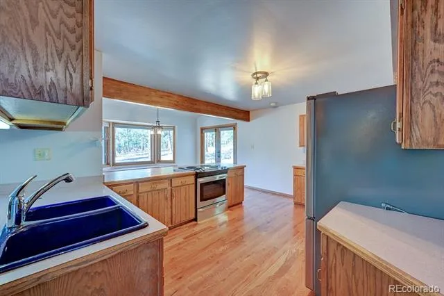 16670 Mt Princeton Road Buena Vista, CO 81211