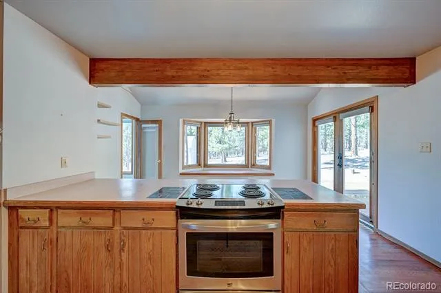 16670 Mt Princeton Road Buena Vista, CO 81211