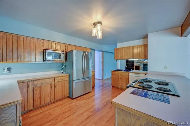 16670 Mt Princeton Road Buena Vista, CO 81211