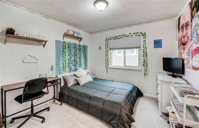 10207 Bentwood Circle Highlands Ranch, CO 80126