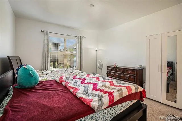 6784 Zebra Grass Lane Parker, CO 80138