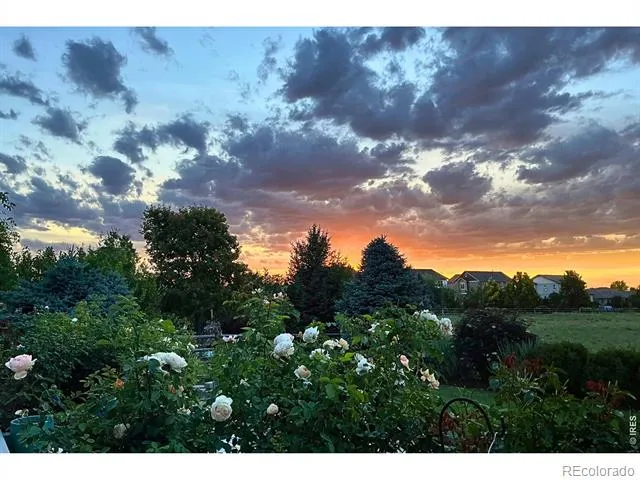 8270 Cherry Blossom Drive Windsor, CO 80550