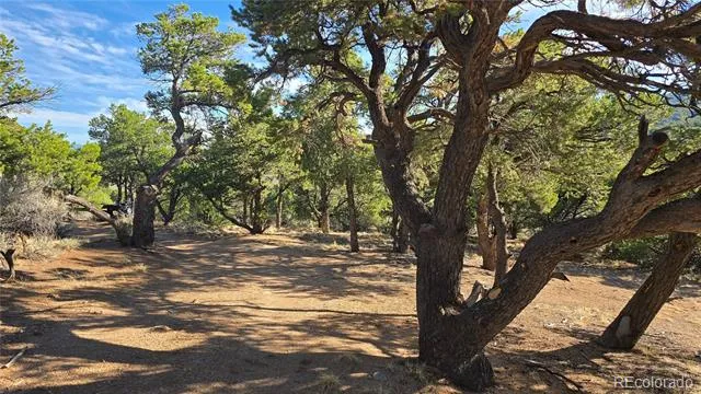 Lot 2232 Solaz Road Fort Garland, CO 81133