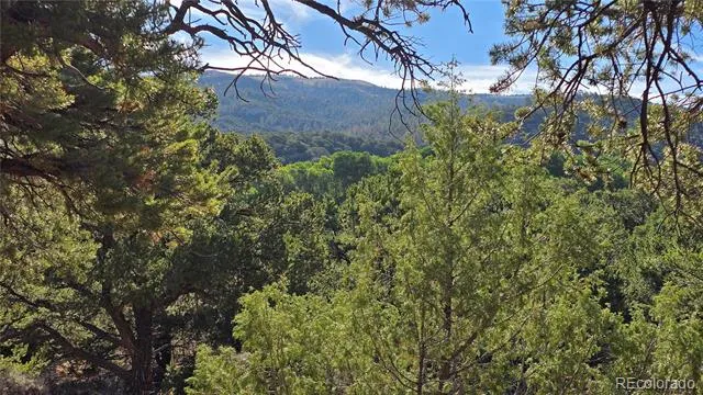 Lot 2232 Solaz Road Fort Garland, CO 81133