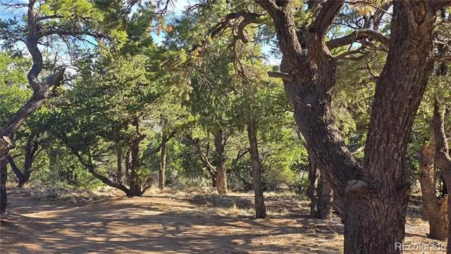 Lot 2232 Solaz Road Fort Garland, CO 81133
