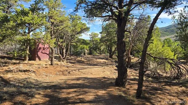 Lot 2232 Solaz Road Fort Garland, CO 81133