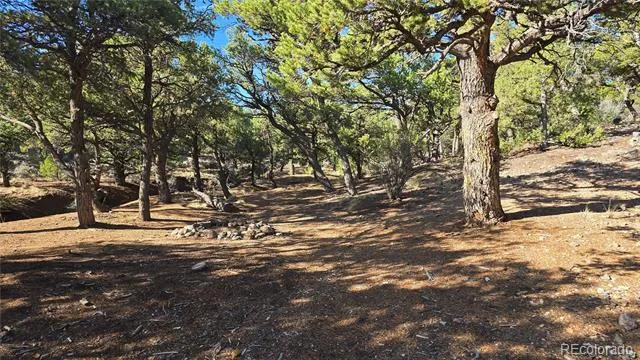 Lot 2232 Solaz Road Fort Garland, CO 81133