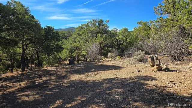 Lot 2232 Solaz Road Fort Garland, CO 81133