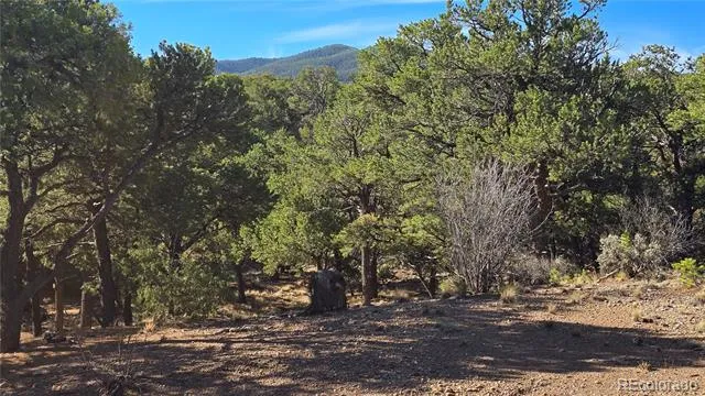 Lot 2232 Solaz Road Fort Garland, CO 81133
