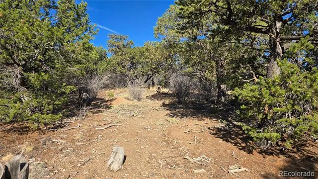 Lot 2232 Solaz Road Fort Garland, CO 81133