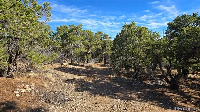 Lot 2232 Solaz Road Fort Garland, CO 81133
