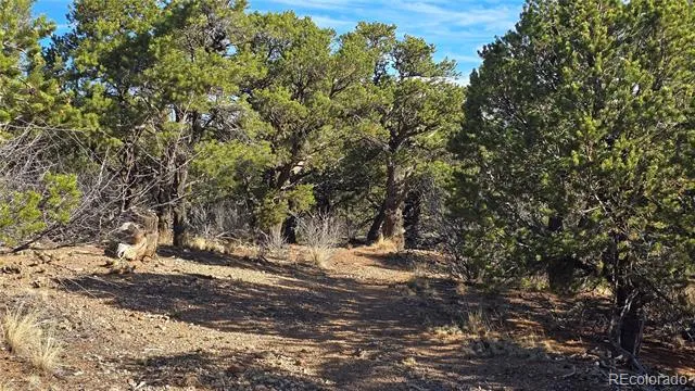 Lot 2232 Solaz Road Fort Garland, CO 81133
