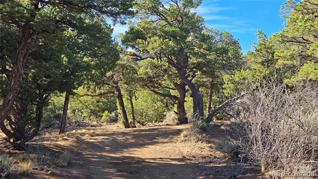 Lot 2232 Solaz Road Fort Garland, CO 81133