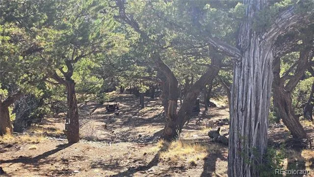 Lot 2232 Solaz Road Fort Garland, CO 81133