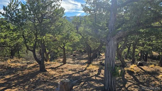 Lot 2232 Solaz Road Fort Garland, CO 81133