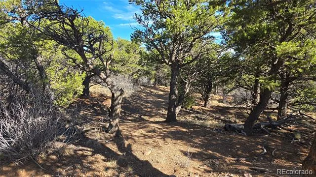 Lot 2232 Solaz Road Fort Garland, CO 81133