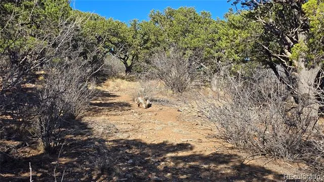 Lot 2232 Solaz Road Fort Garland, CO 81133