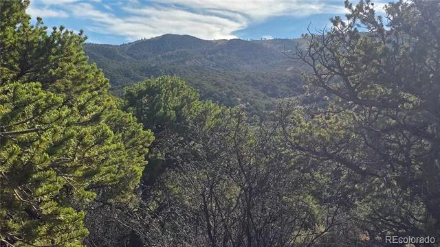 Lot 2232 Solaz Road Fort Garland, CO 81133