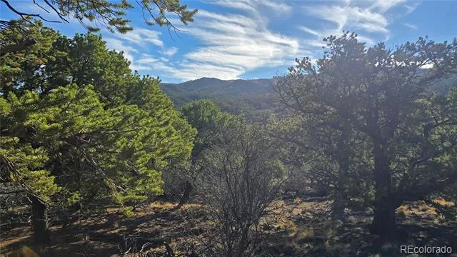 Lot 2232 Solaz Road Fort Garland, CO 81133