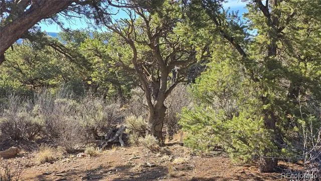 Lot 2232 Solaz Road Fort Garland, CO 81133