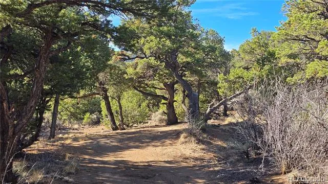 Lot 2232 Solaz Road Fort Garland, CO 81133