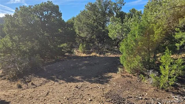 Lot 2232 Solaz Road Fort Garland, CO 81133