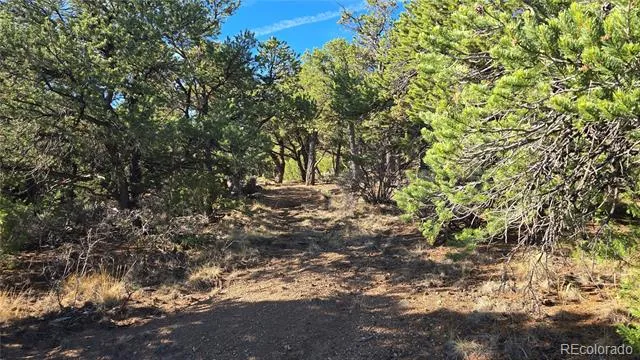 Lot 2232 Solaz Road Fort Garland, CO 81133