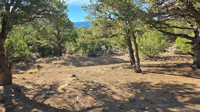 Lot 2232 Solaz Road Fort Garland, CO 81133