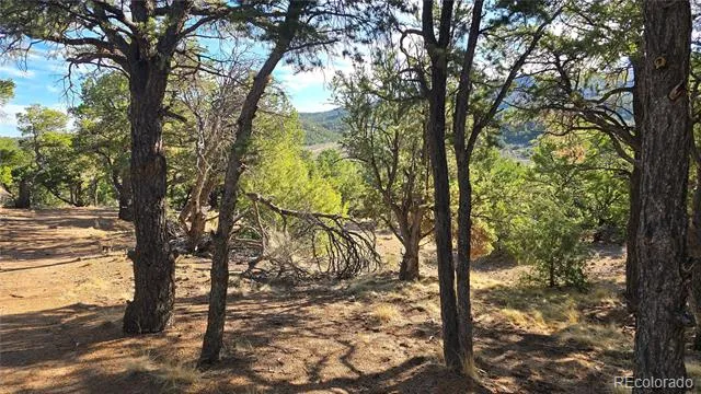 Lot 2232 Solaz Road Fort Garland, CO 81133