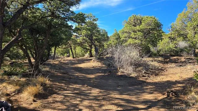 Lot 2232 Solaz Road Fort Garland, CO 81133