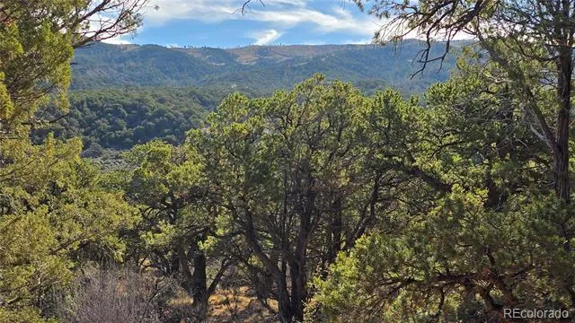 Lot 2232 Solaz Road Fort Garland, CO 81133