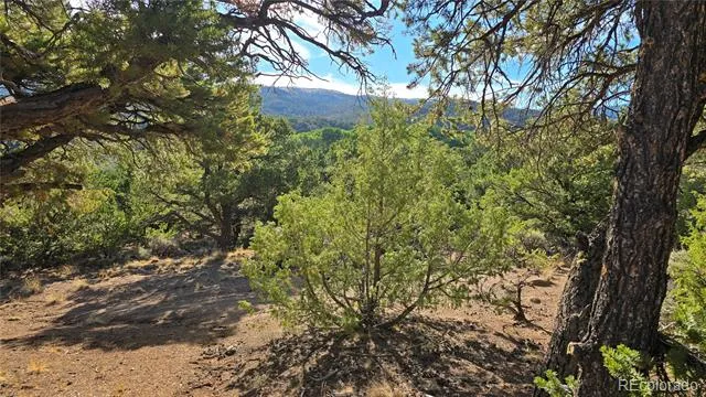Lot 2232 Solaz Road Fort Garland, CO 81133