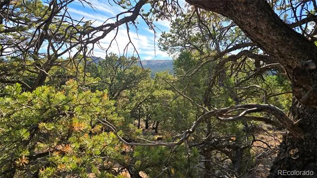 Lot 2232 Solaz Road Fort Garland, CO 81133