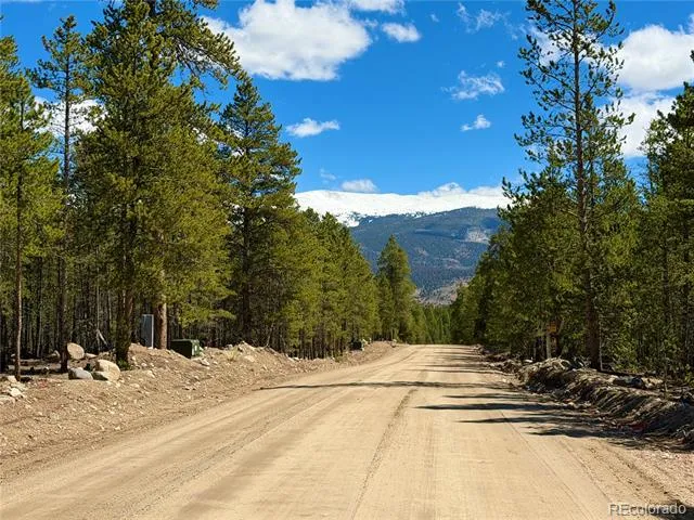 360 Peak View Drive Leadville, CO 80461