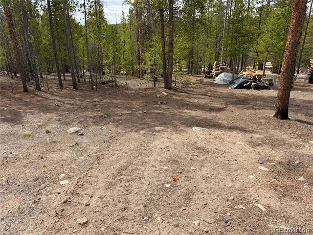 360 Peak View Drive Leadville, CO 80461