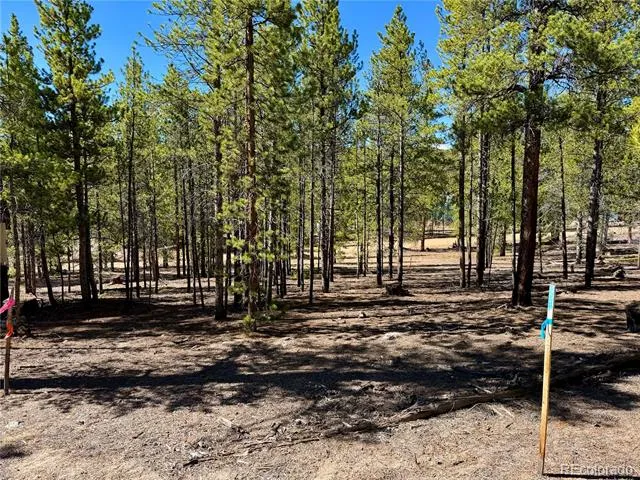 360 Peak View Drive Leadville, CO 80461