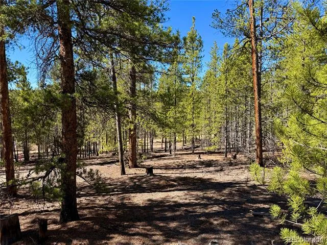 360 Peak View Drive Leadville, CO 80461