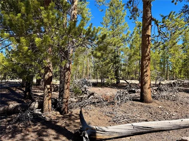360 Peak View Drive Leadville, CO 80461