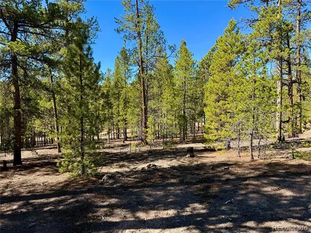 360 Peak View Drive Leadville, CO 80461