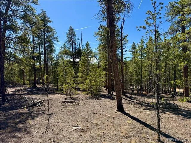 360 Peak View Drive Leadville, CO 80461