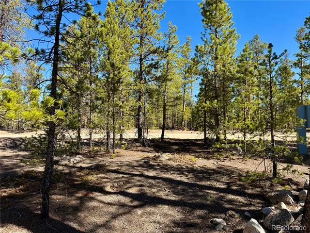 360 Peak View Drive Leadville, CO 80461