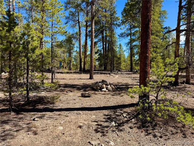 360 Peak View Drive Leadville, CO 80461