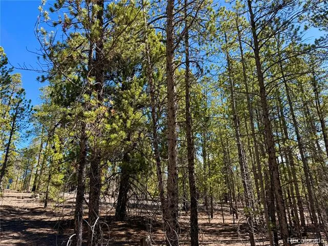 360 Peak View Drive Leadville, CO 80461