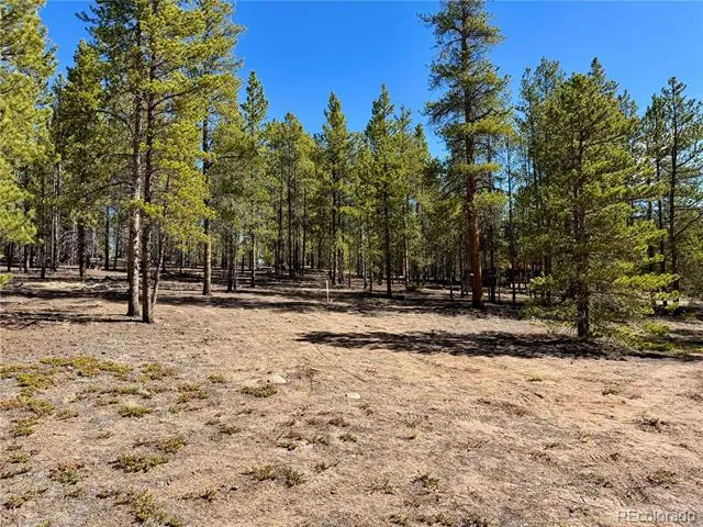 360 Peak View Drive Leadville, CO 80461
